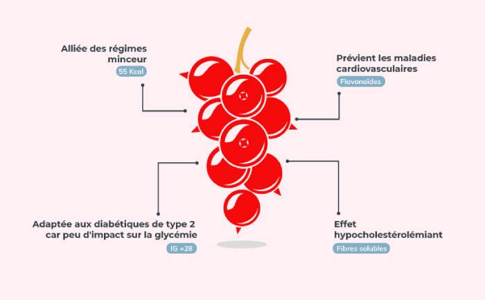 Infographie sur les bienfaits de la groseille