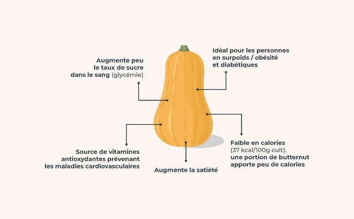 infographie-courge
